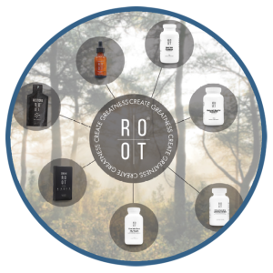 ROOT Infos