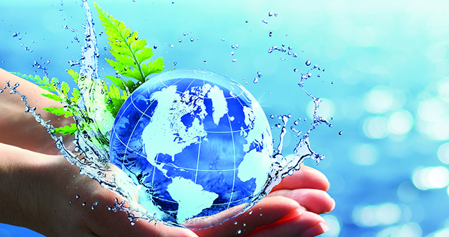 Banner ÖKO Beratung